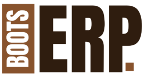 boots erp e1718264986189